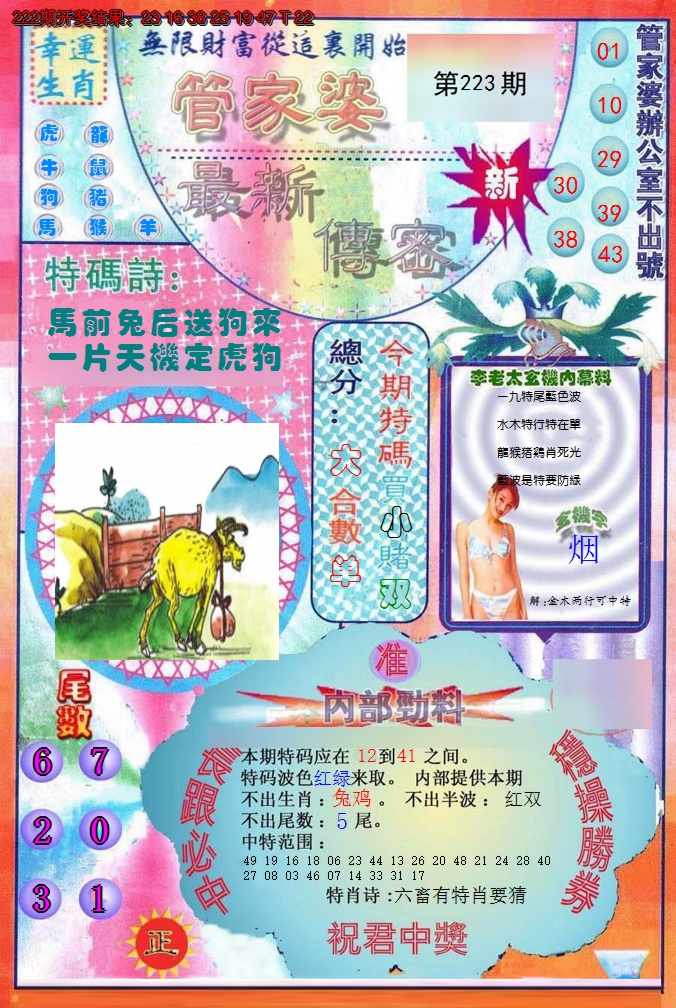 2024223期管家婆新传密