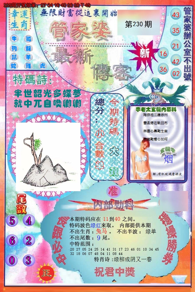 2024230期管家婆新传密