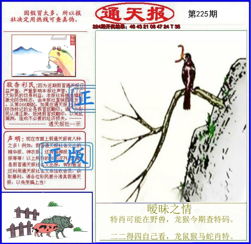 2024225期正版通天报
