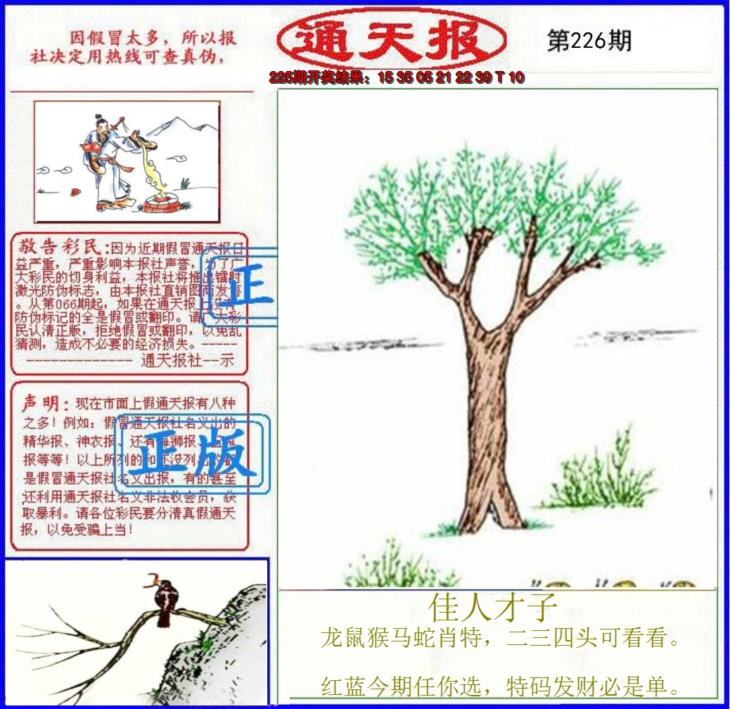 2024226期正版通天报