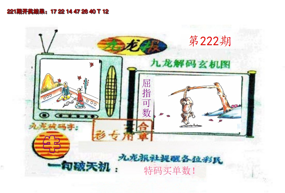 2024222期九龙报