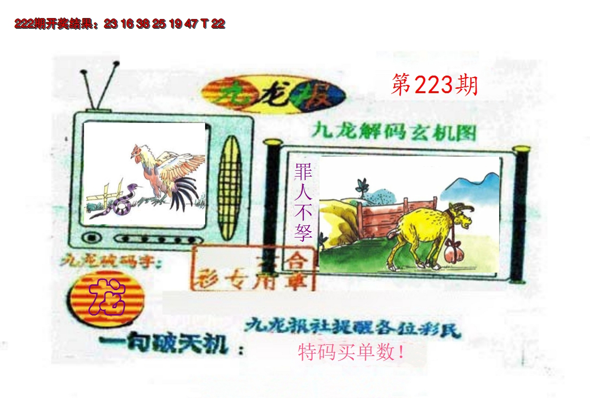 2024223期九龙报