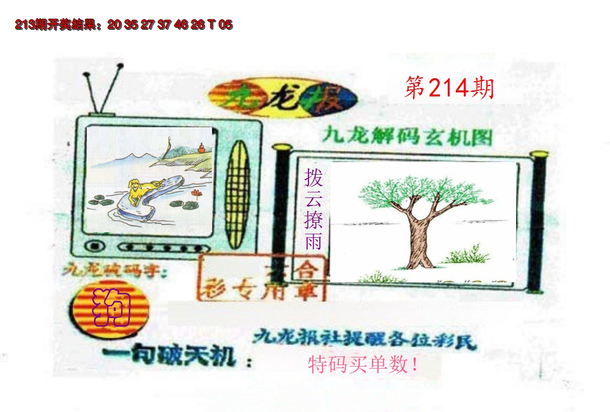 2024214期九龙报