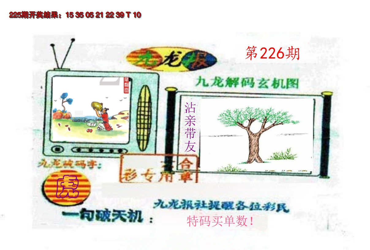 2024226期九龙报