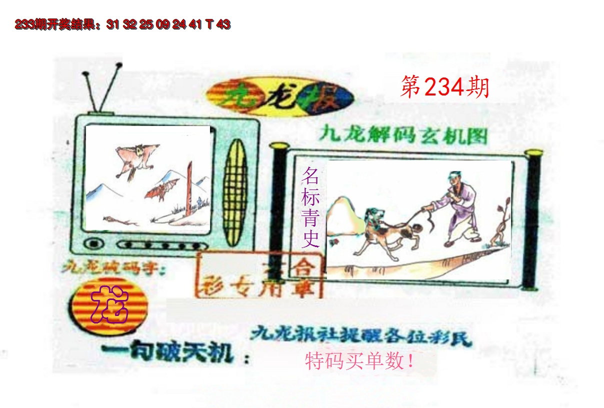 2024234期九龙报