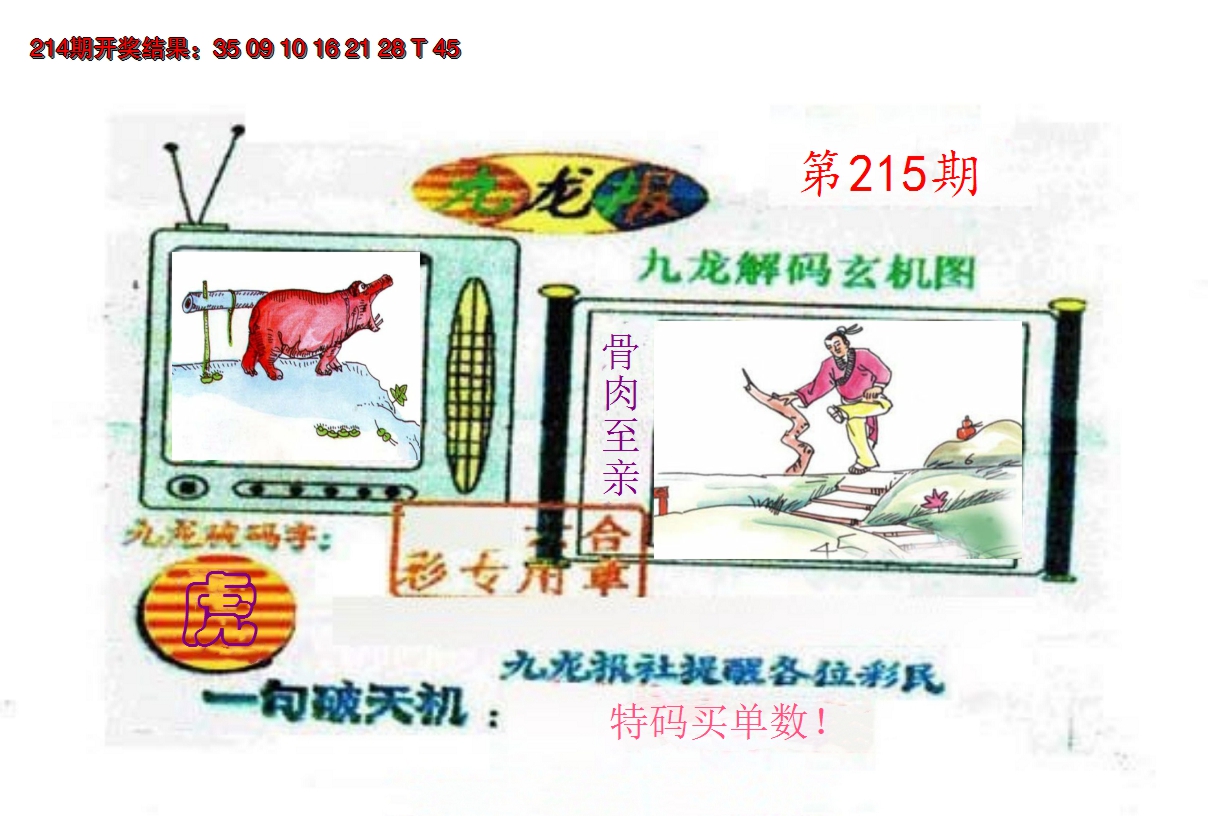 2024215期九龙报