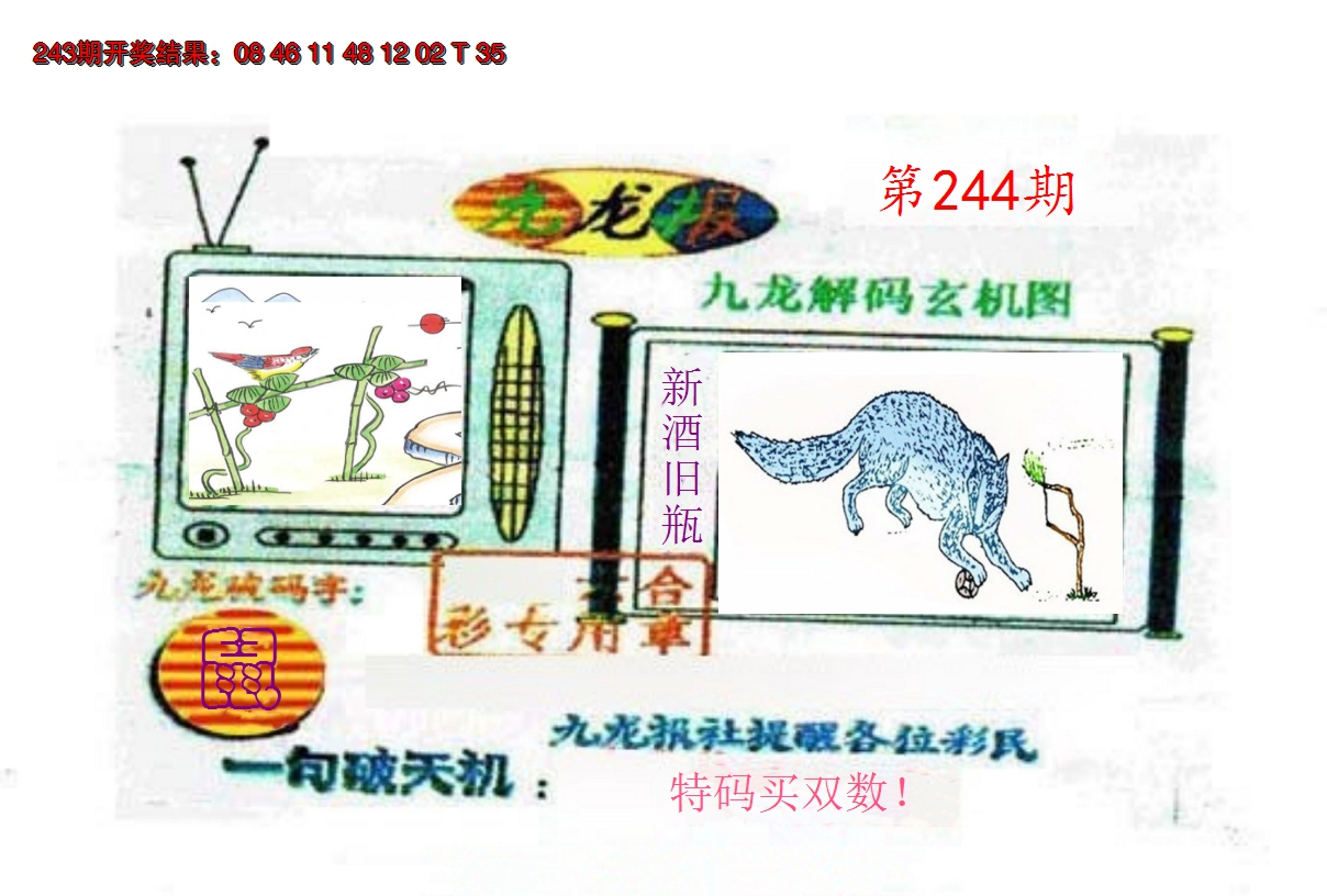 2024244期九龙报