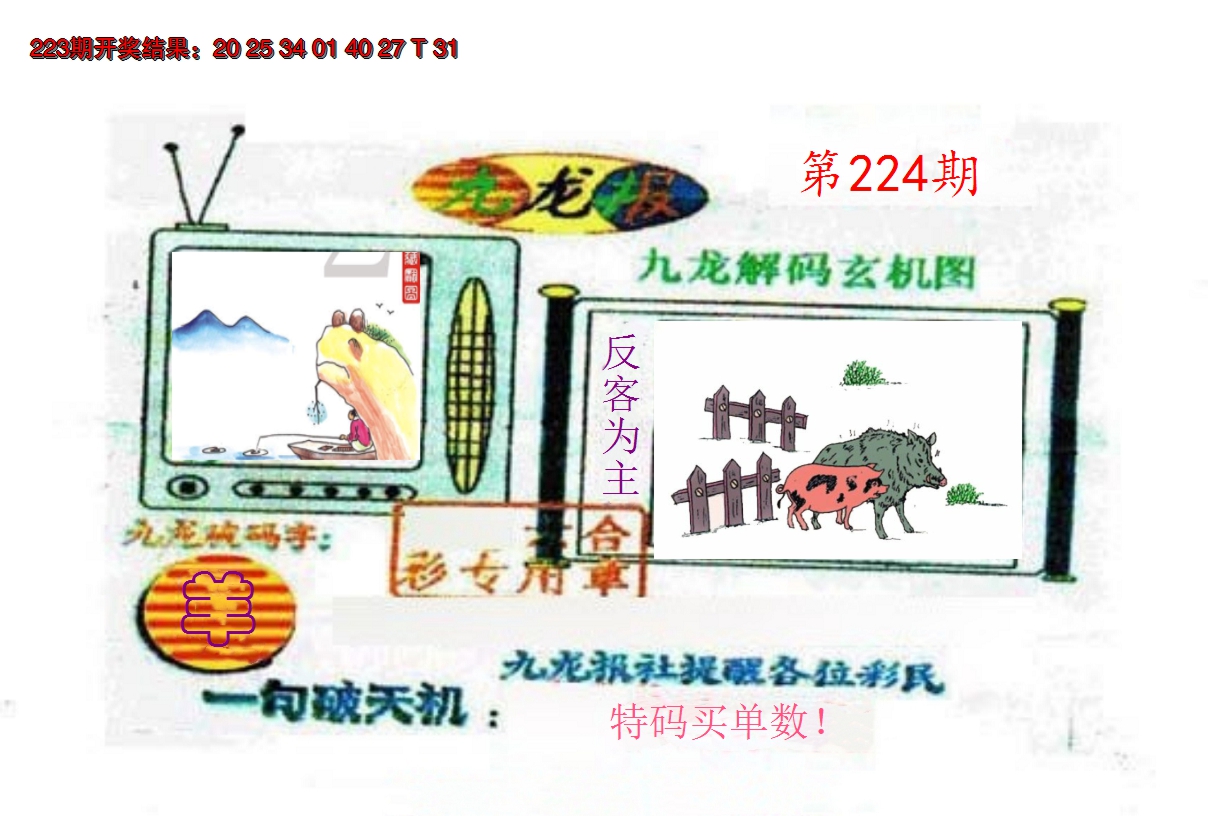2024224期九龙报