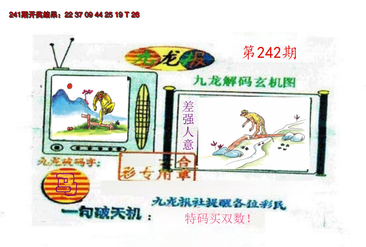 2024242期九龙报