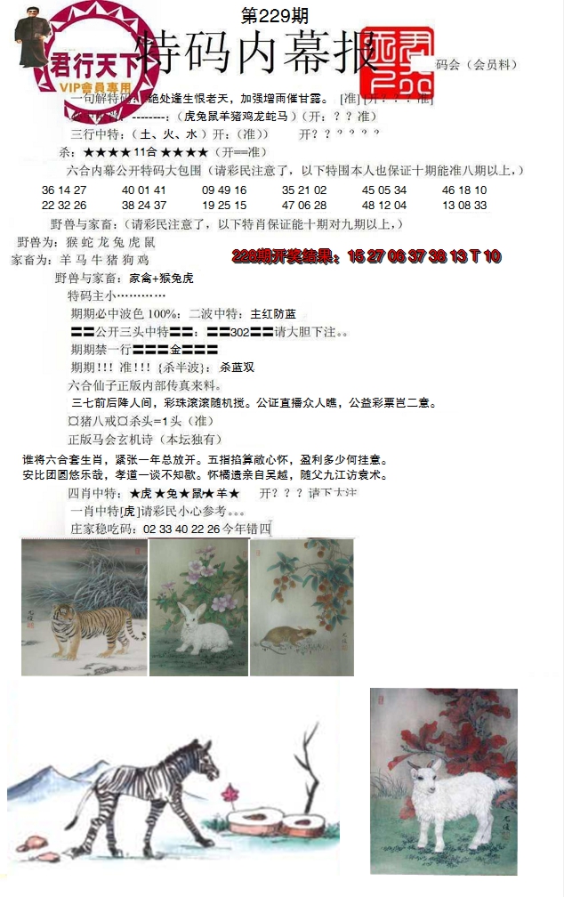 2024229期特码内幕报