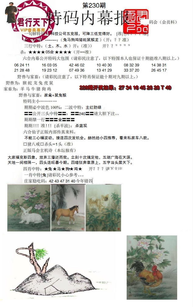 2024230期特码内幕报