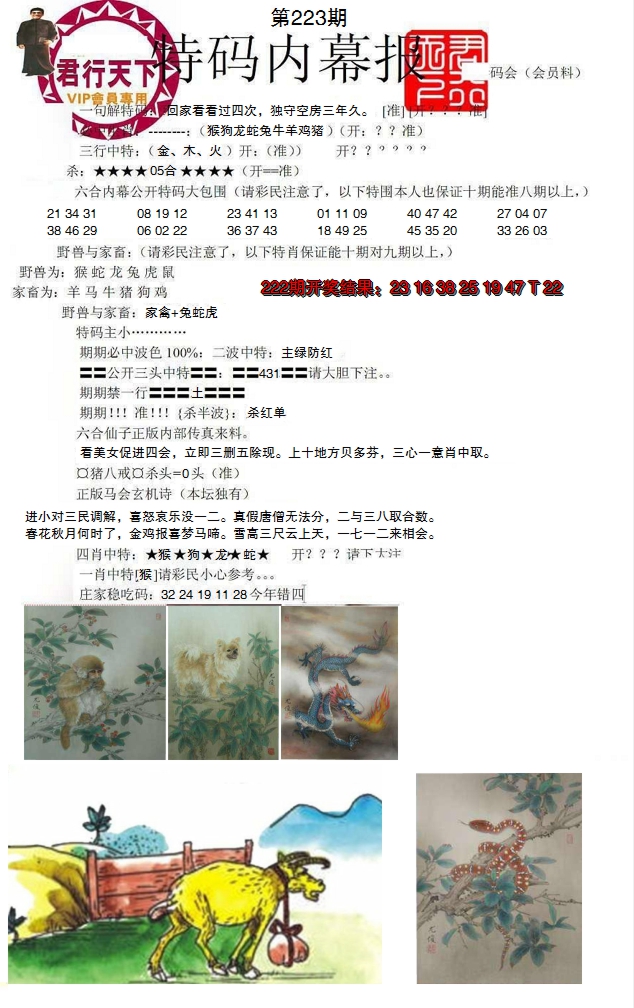 2024223期特码内幕报