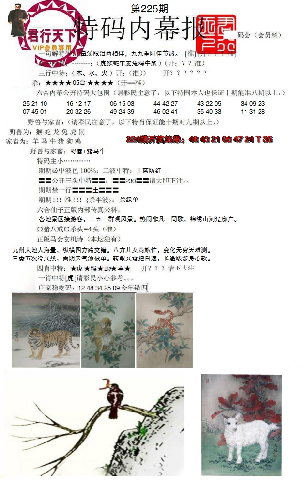 2024225期特码内幕报
