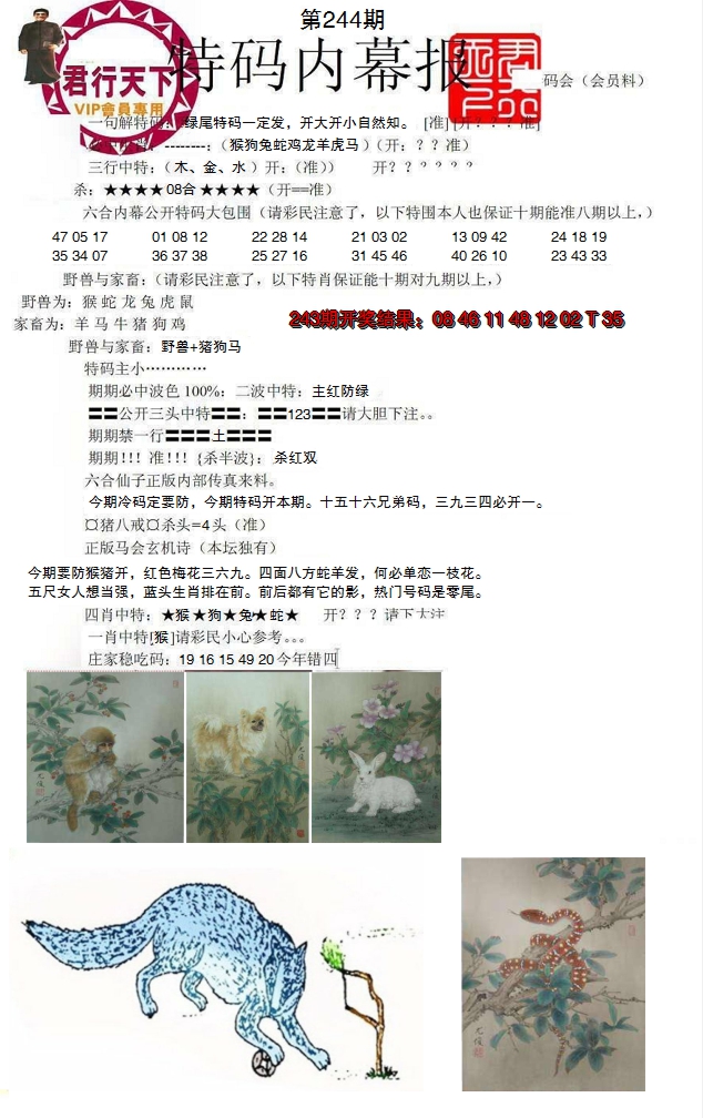 2024244期特码内幕报