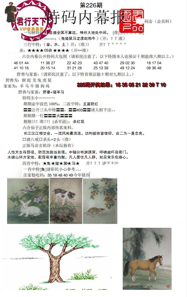 2024226期特码内幕报