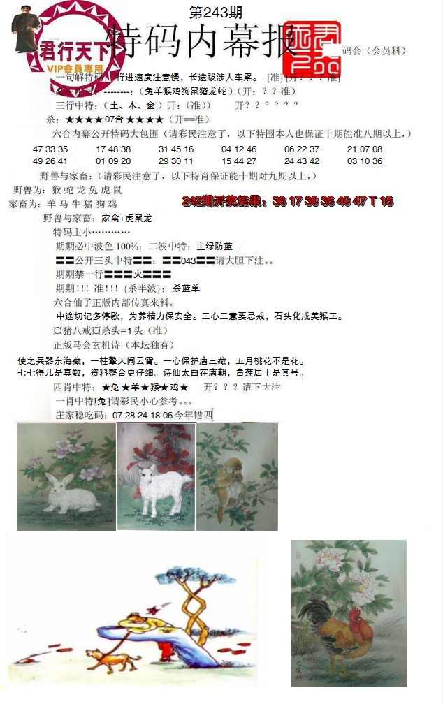 2024243期特码内幕报