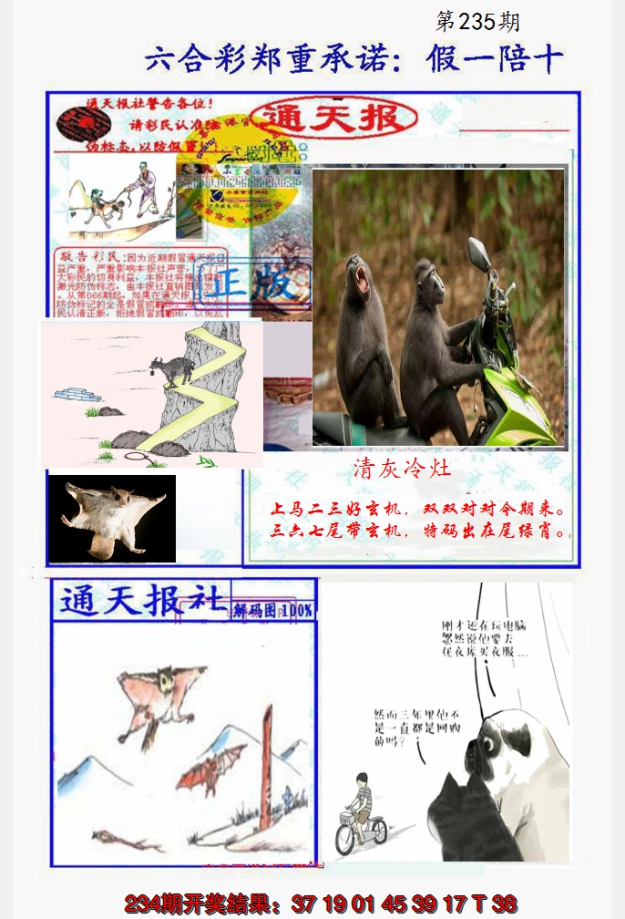2024235期假一陪十通天报