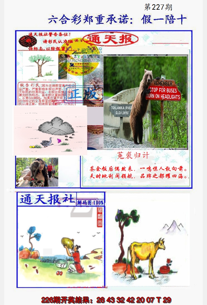 2024227期假一陪十通天报