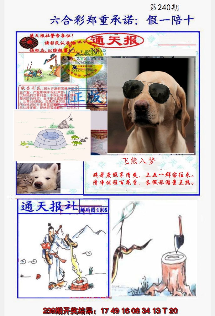 2024240期假一陪十通天报