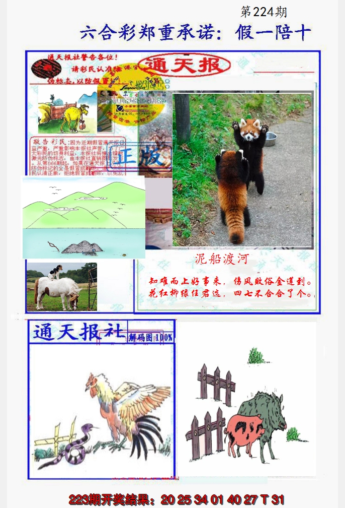 2024224期假一陪十通天报