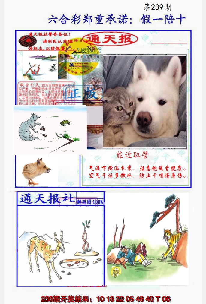 2024239期假一陪十通天报