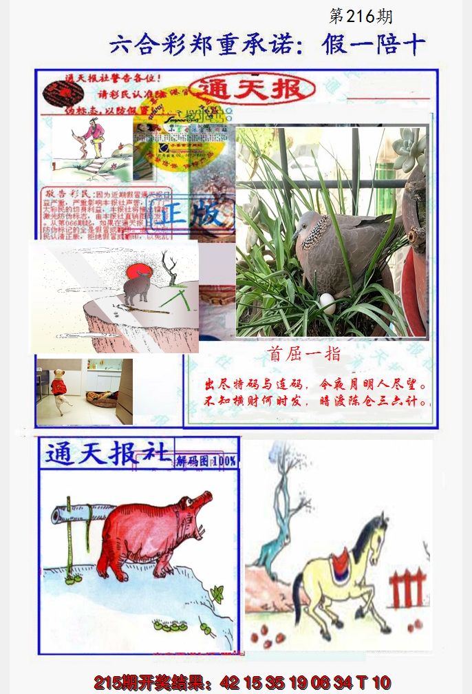 2024216期假一陪十通天报