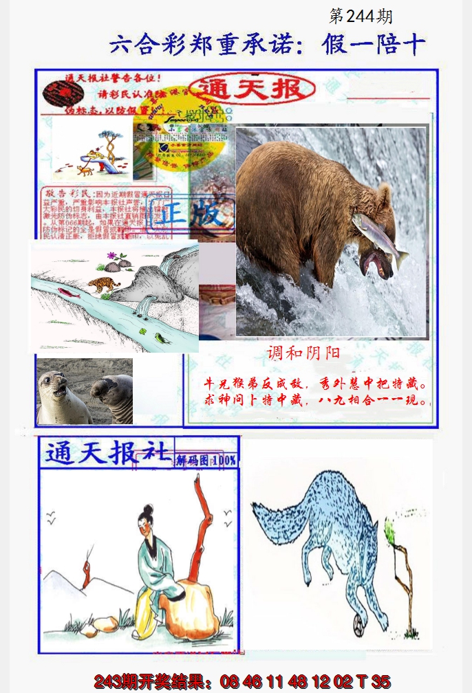 2024244期假一陪十通天报