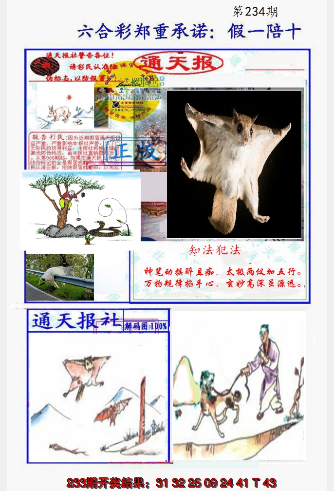 2024234期假一陪十通天报