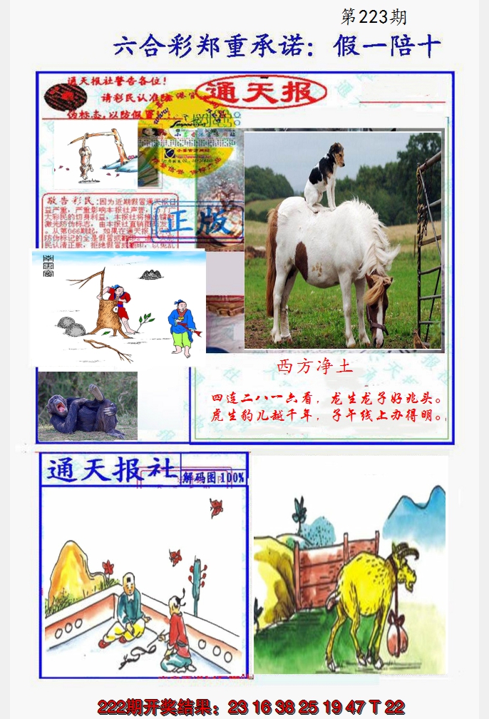 2024223期假一陪十通天报