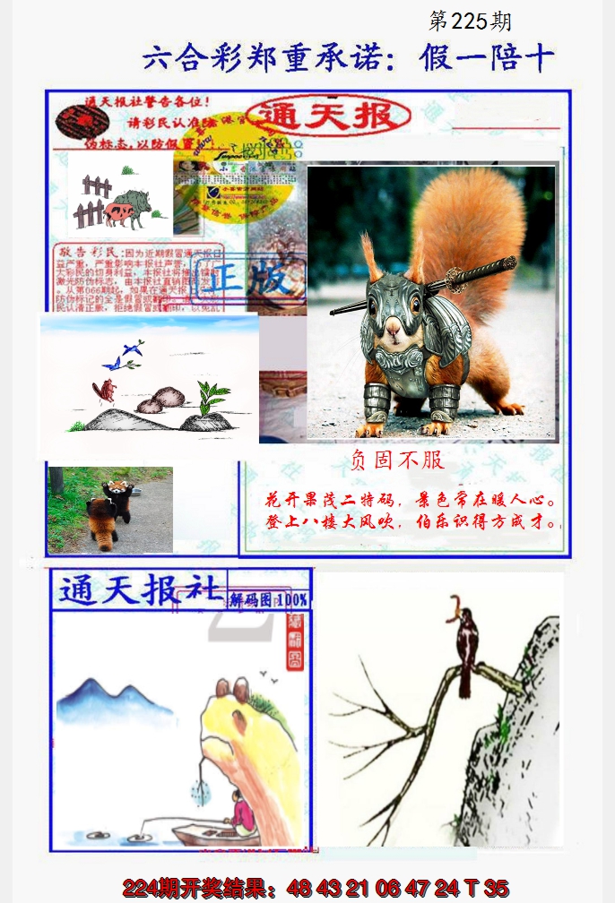 2024225期假一陪十通天报