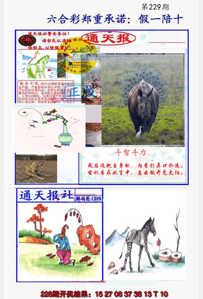 2024229期假一陪十通天报
