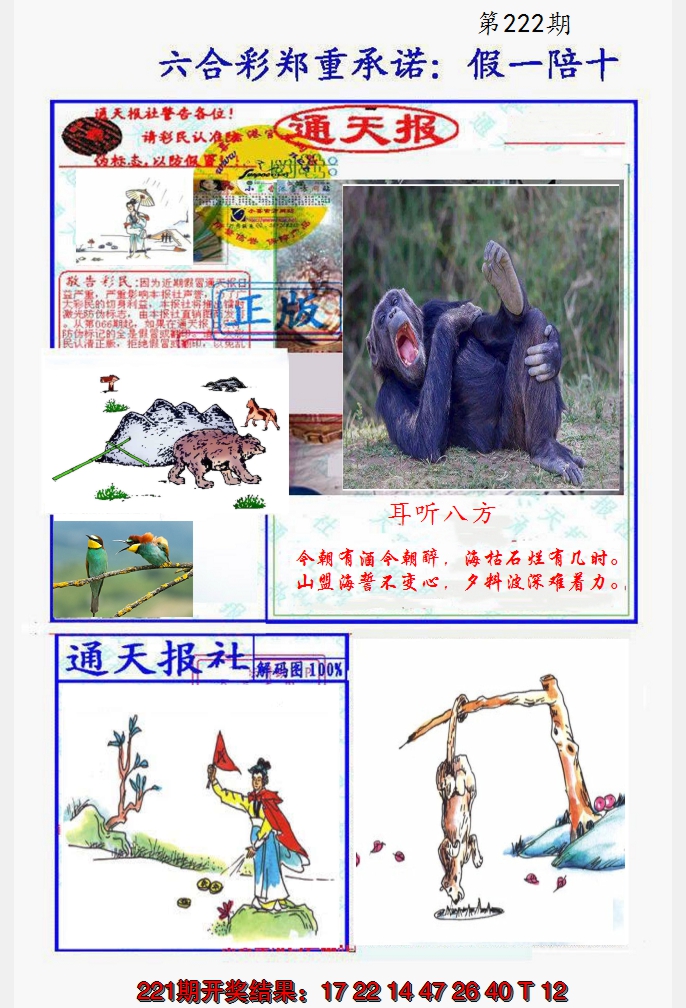 2024222期假一陪十通天报