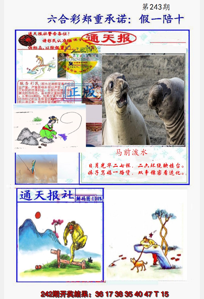 2024243期假一陪十通天报