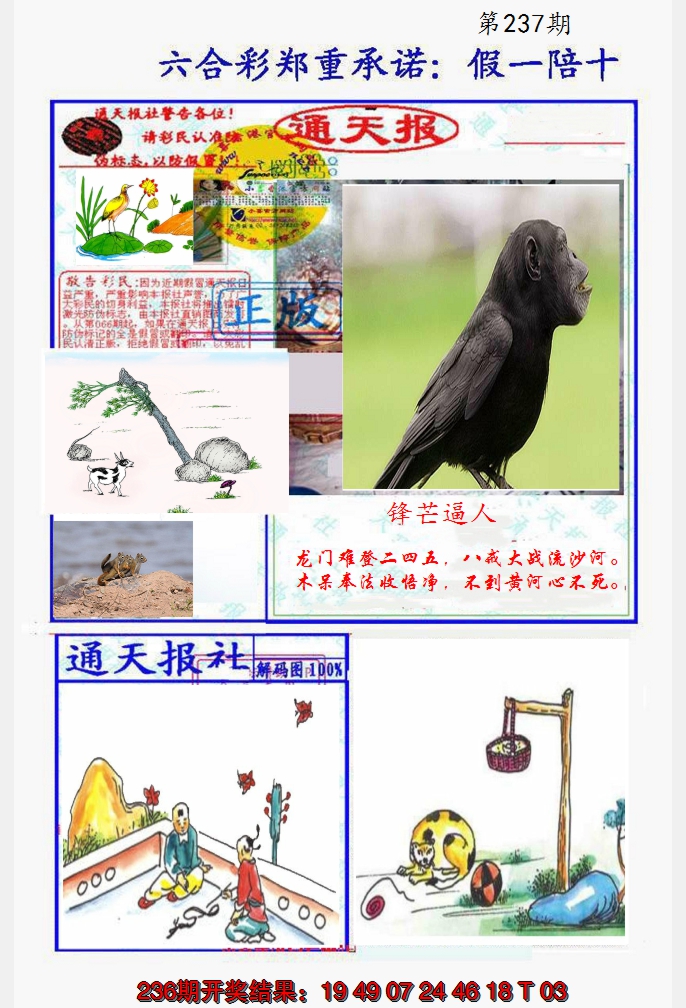 2024237期假一陪十通天报