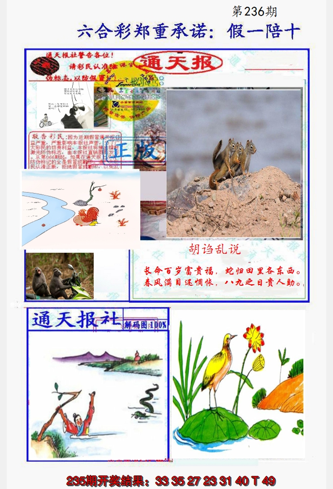 2024236期假一陪十通天报