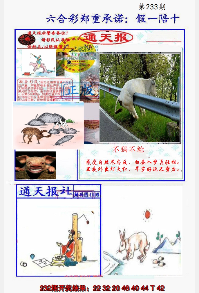 2024233期假一陪十通天报