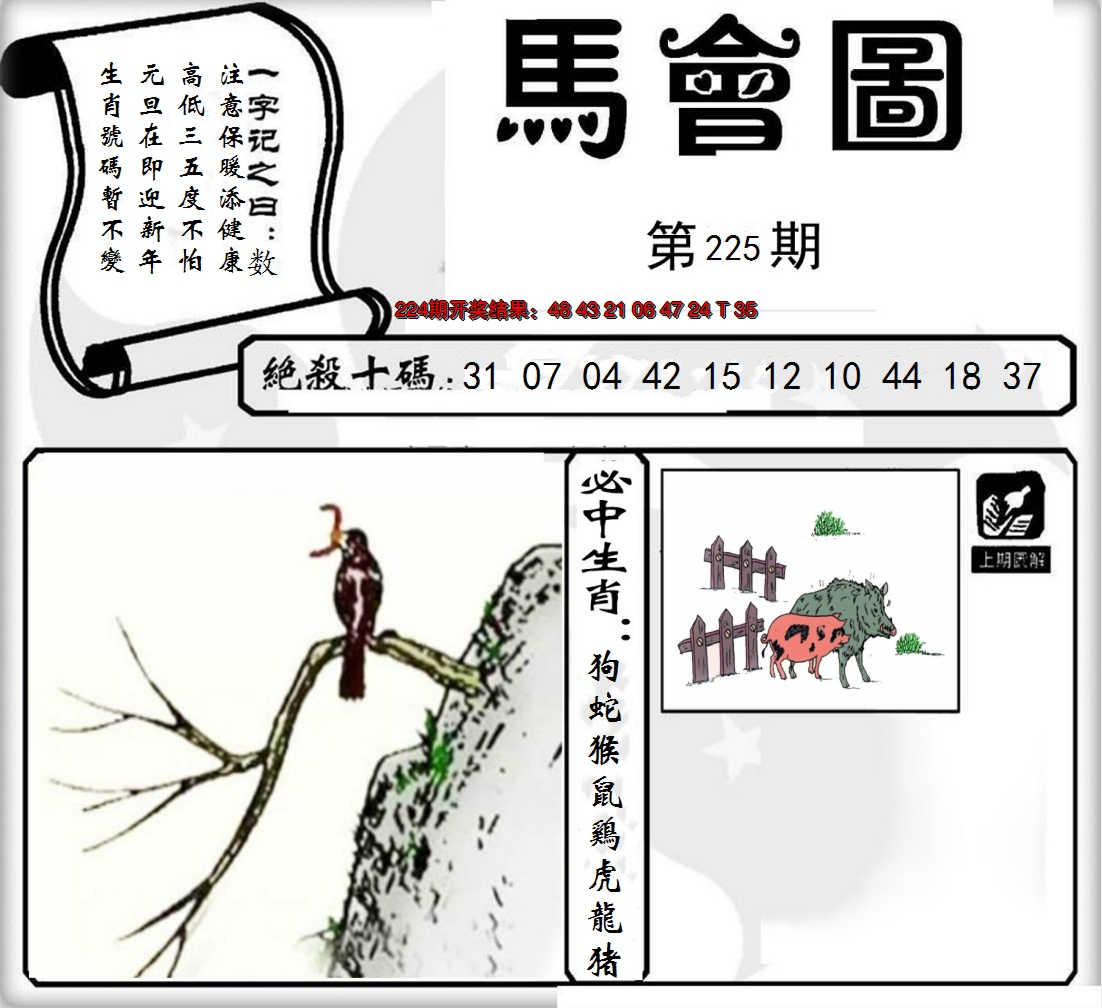 2024225期马会图