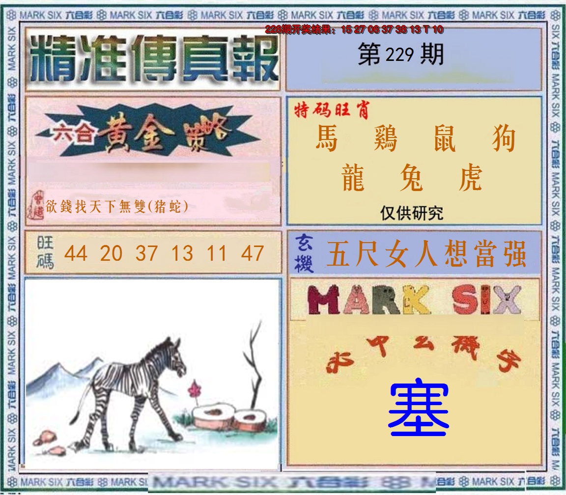 2024229期精准<傳真報>