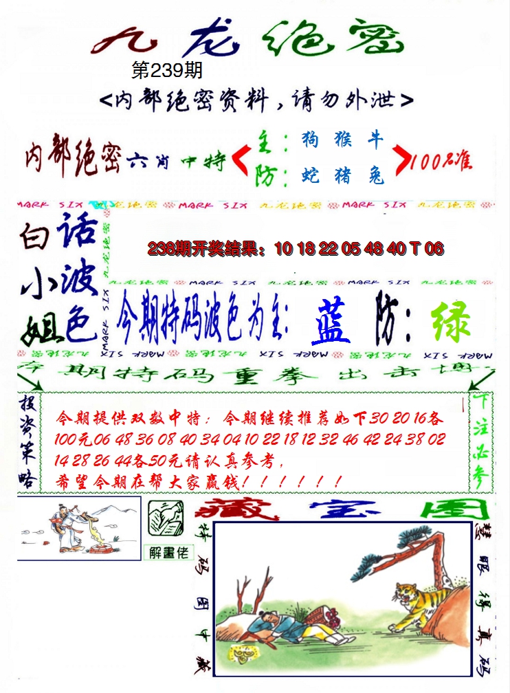 2024239期九龙密报