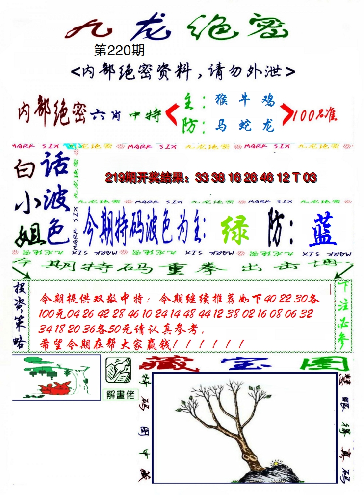 2024220期九龙密报