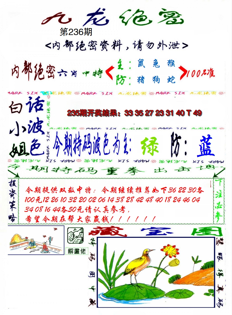 2024236期九龙密报