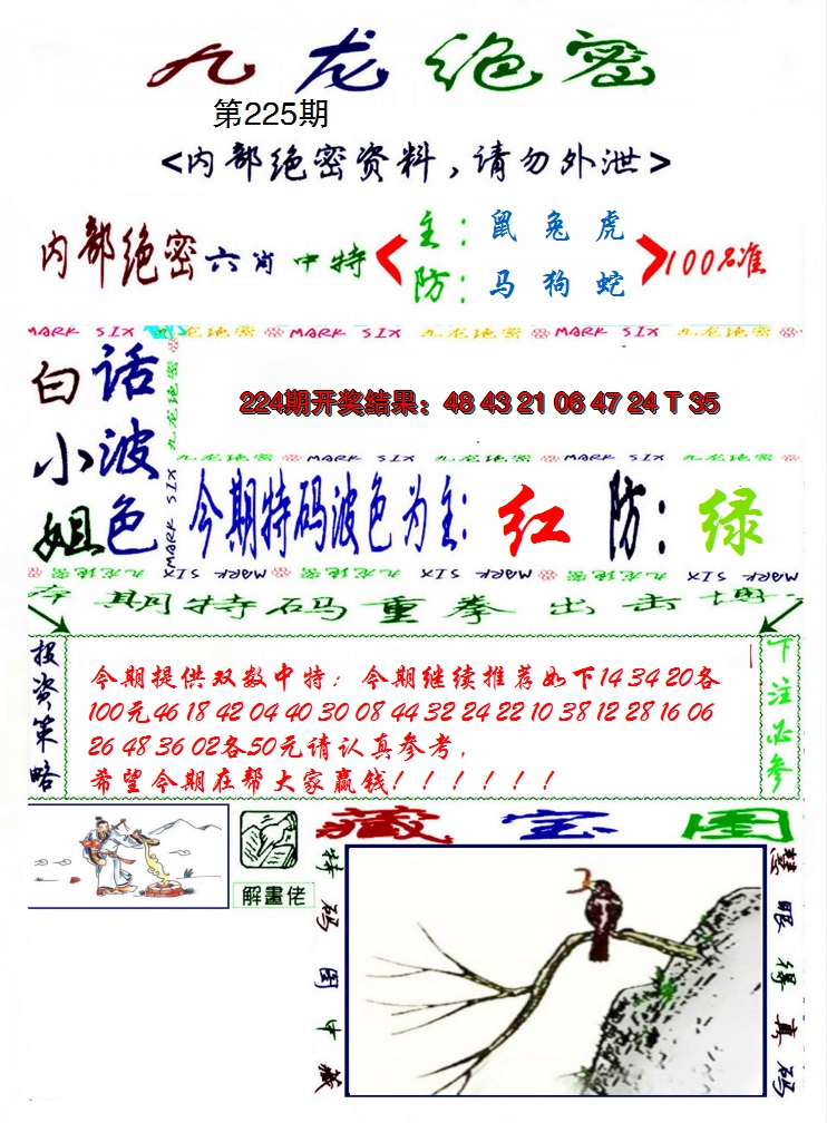 2024225期九龙密报