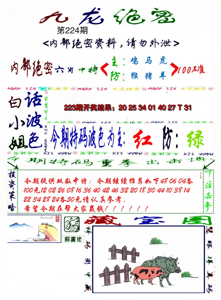 2024224期九龙密报