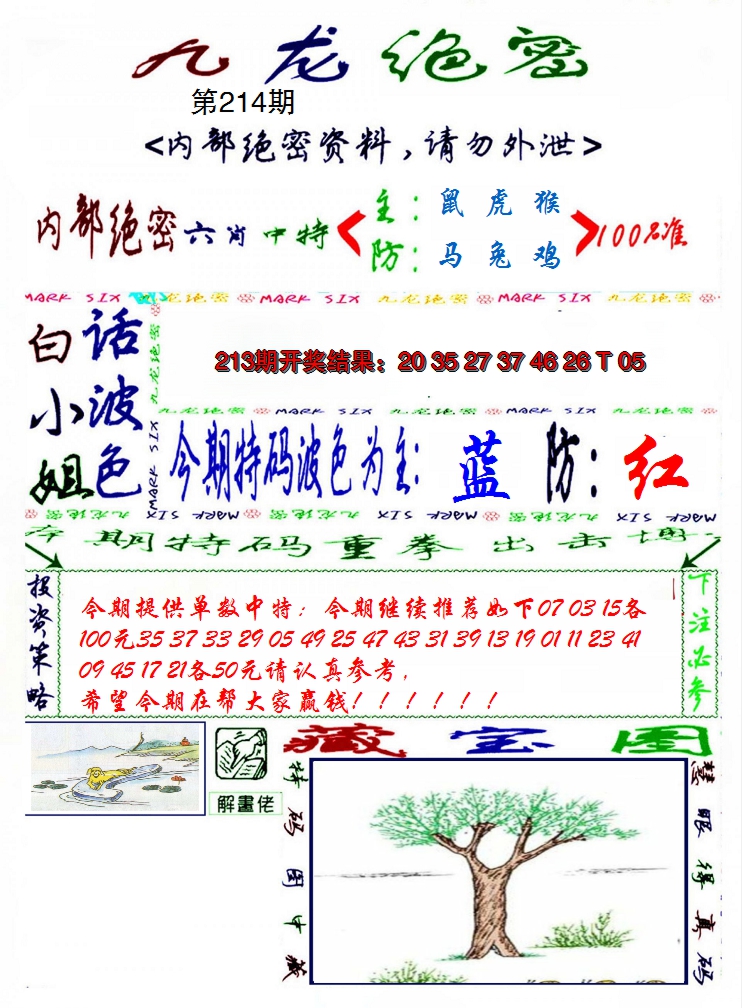 2024214期九龙密报