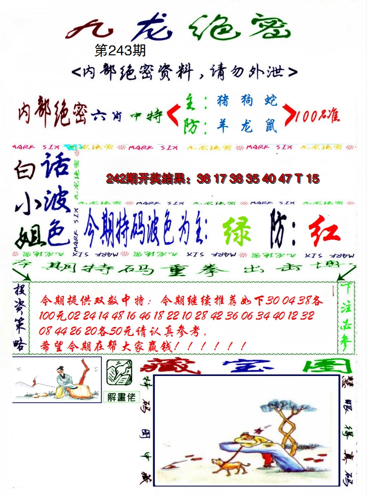 2024243期九龙密报