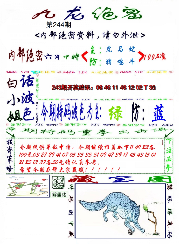 2024244期九龙密报