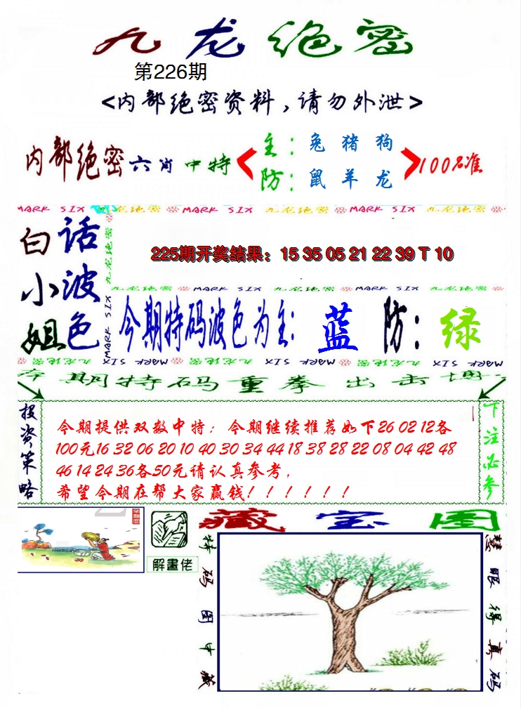 2024226期九龙密报