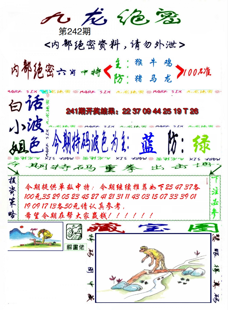2024242期九龙密报