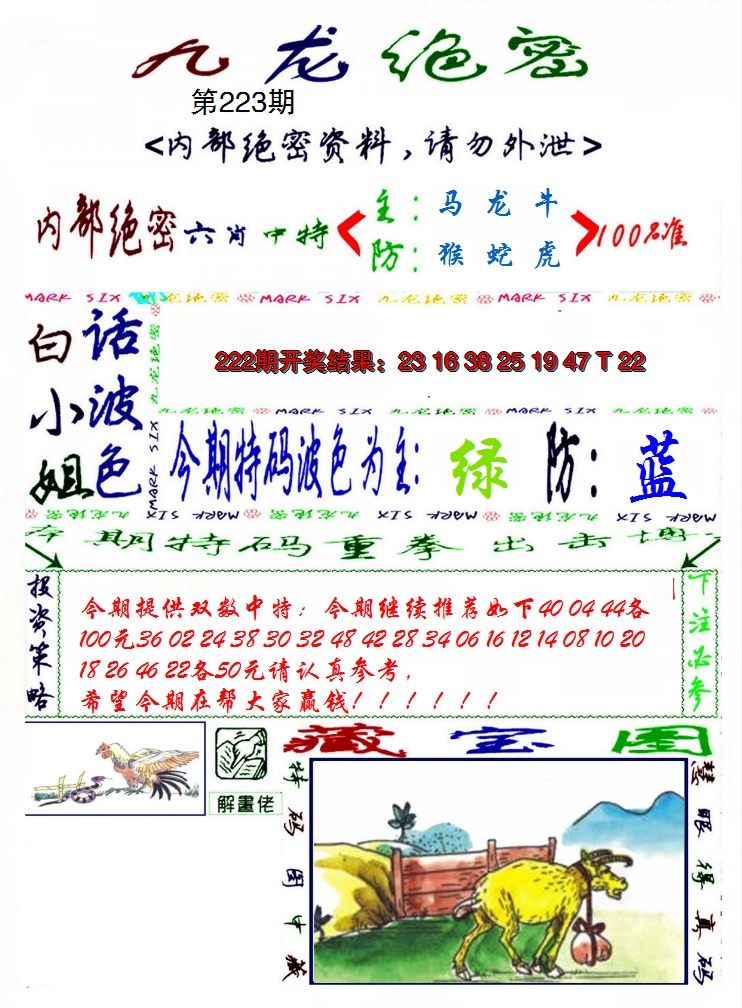 2024223期九龙密报