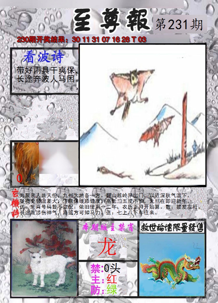 2024231期至尊报
